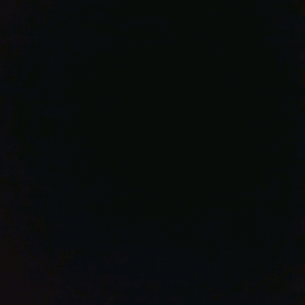 Meet your Posher, Daniela